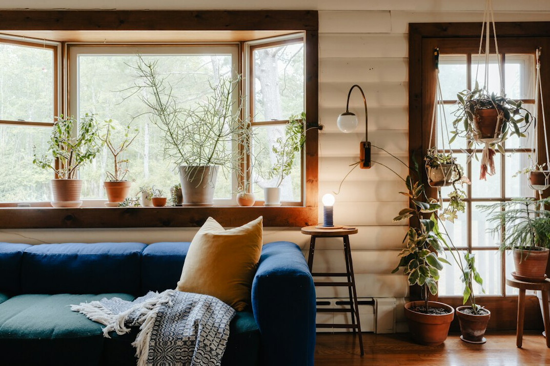 sustainable living trend
